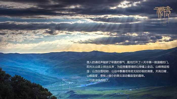 鸡蛋不是最好的蛋!我们研究了7种蛋,发现它最值得吃!
