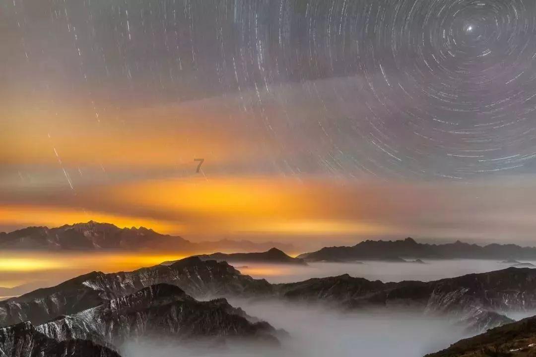 单身狗大作战