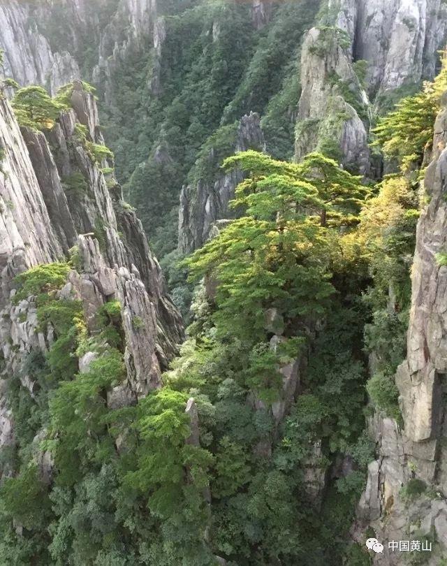 千机平衡