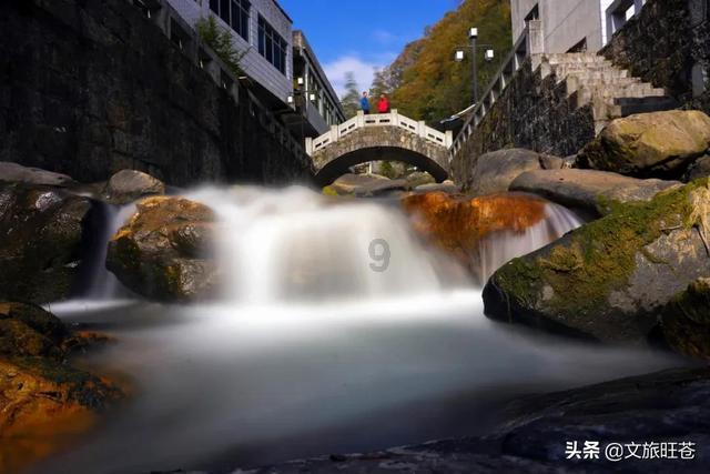 逃离白鸽之森