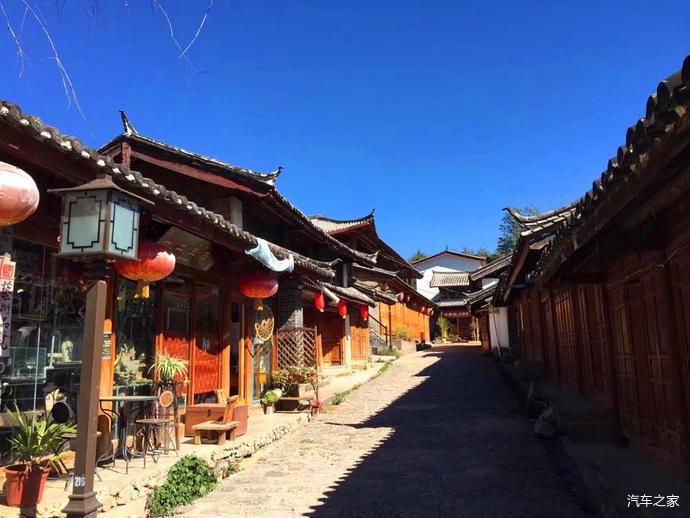动物帮帮忙保卫家园